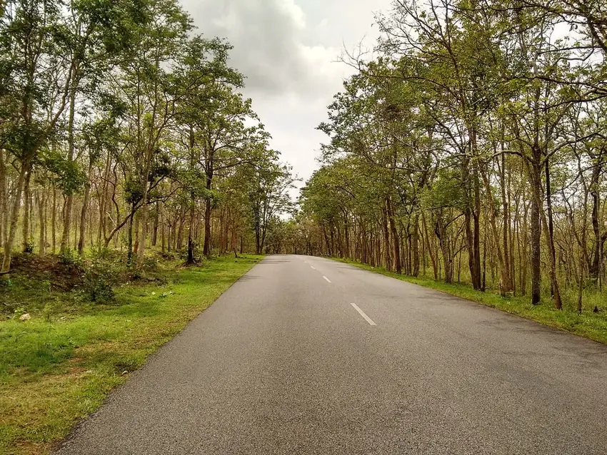 Bandipur tiger reserve