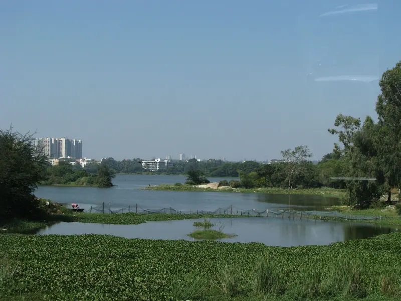 Hebbal Lake with the towers of North Bengaluru behind