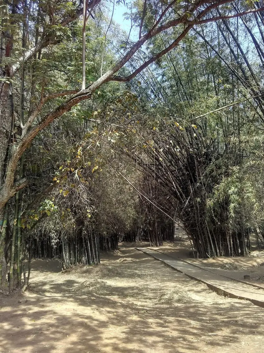 Cubbon Park Bengaluru