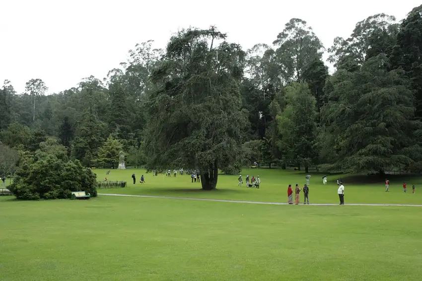 Ooty Coonoor